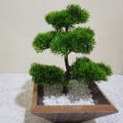  Arranjo bonsai artificial
