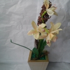 Arranjo de orquídea